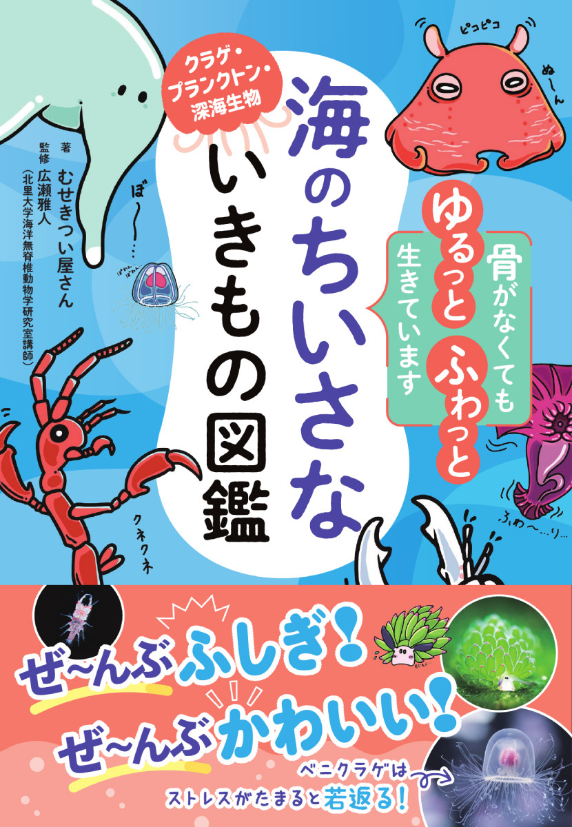 海のちいさないきもの図鑑